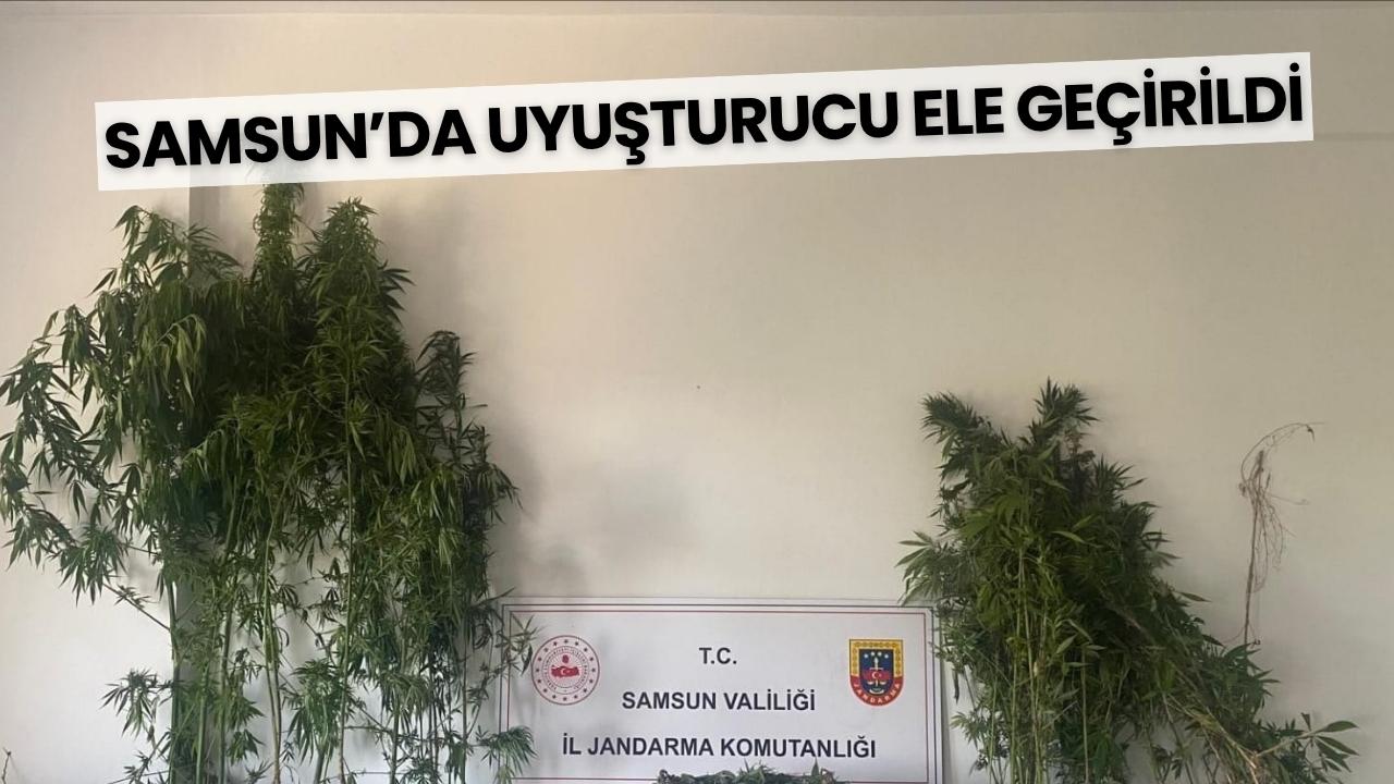 Samsun'da uyuşturucu operasyonu