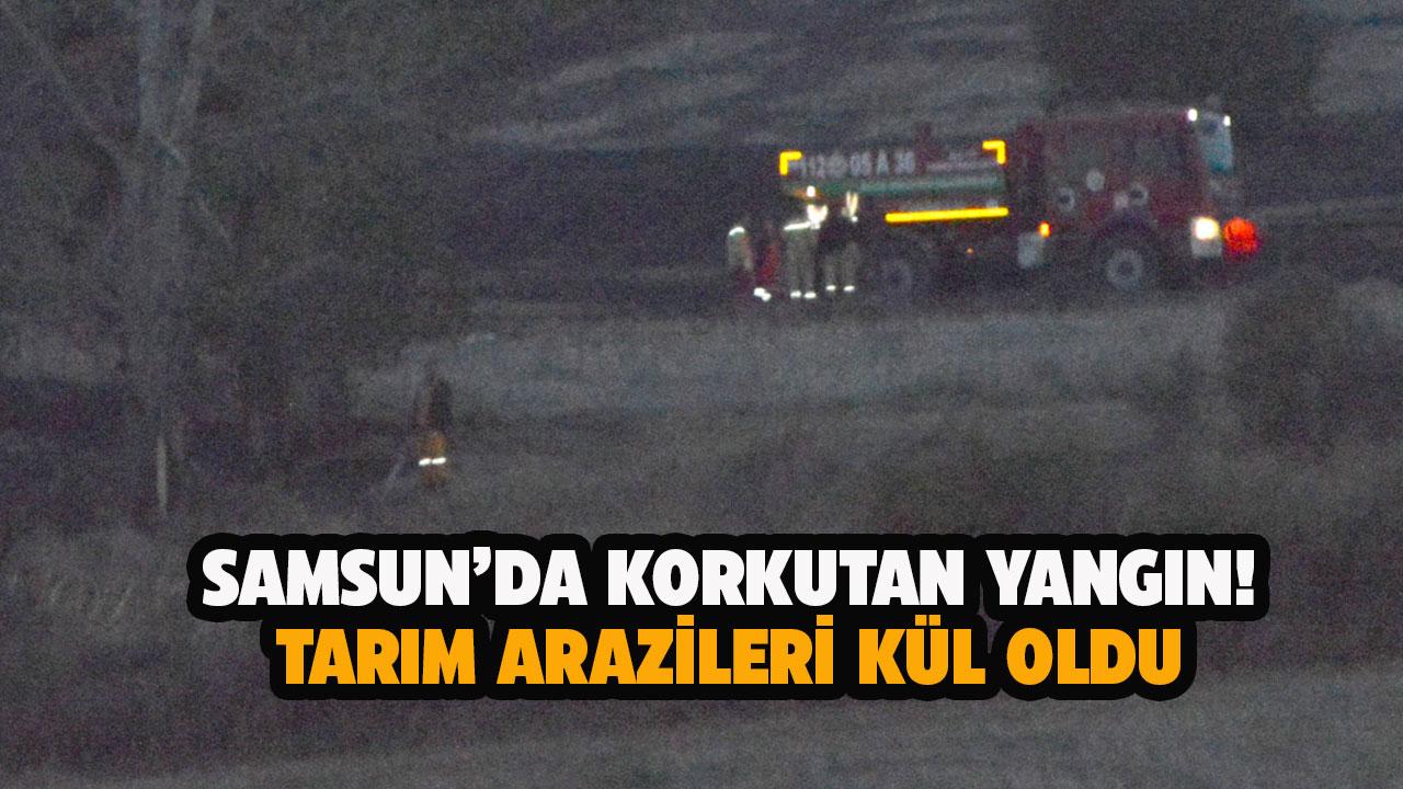 Samsun'da yangın! Tarım arazileri kül oldu
