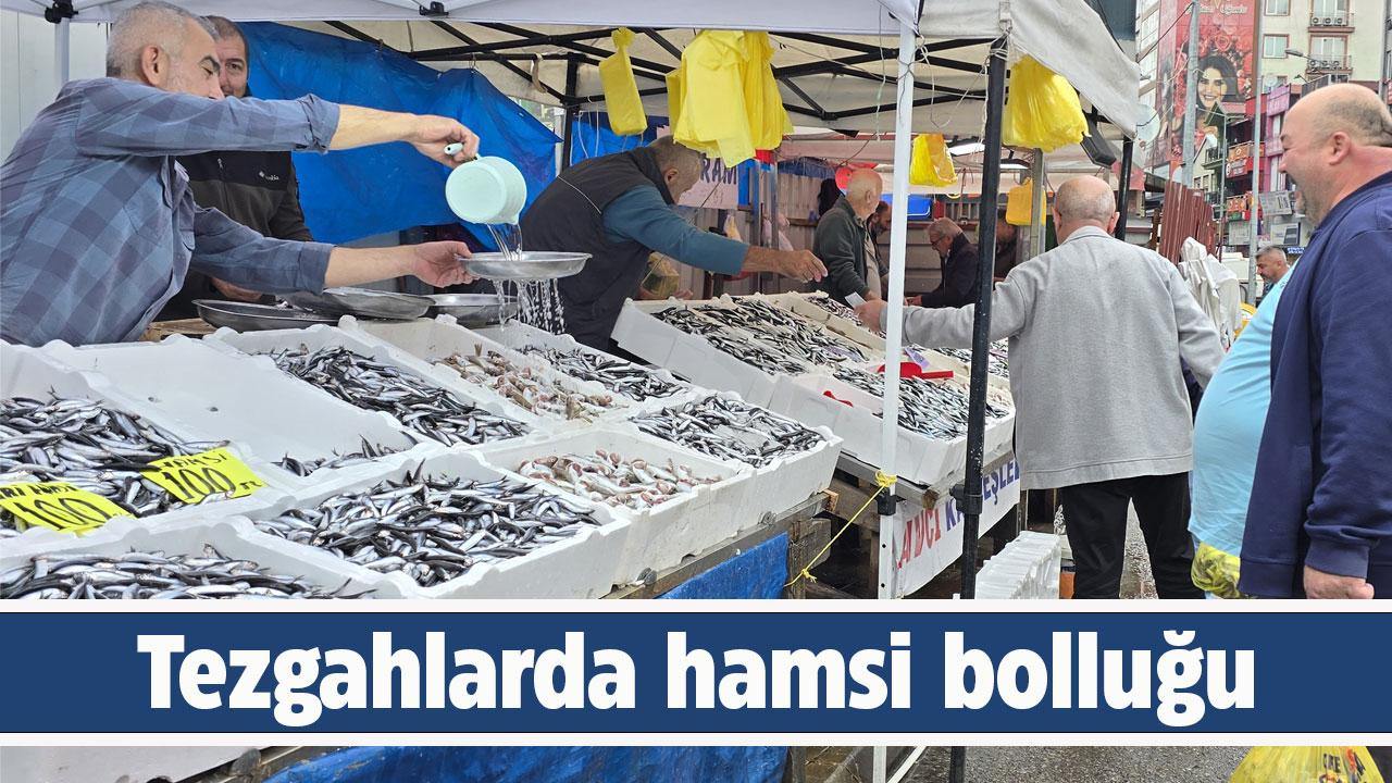 Balık tezgahlarında hamsi bolluğu