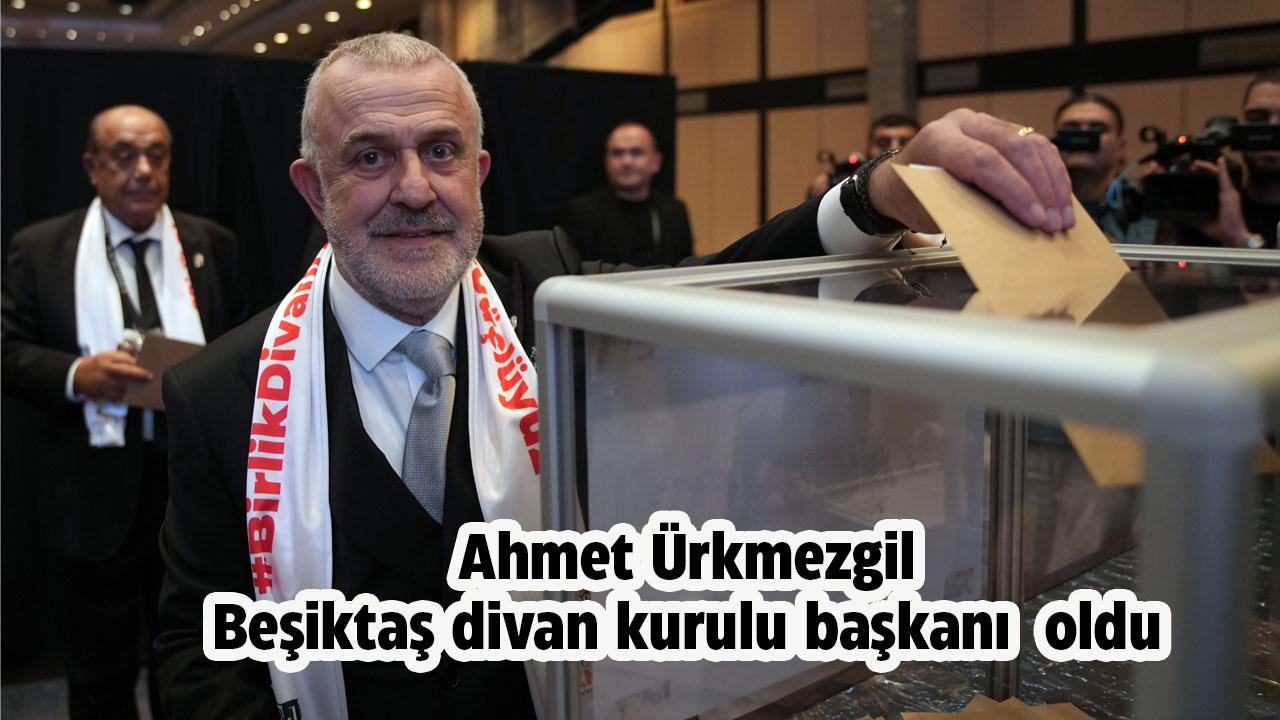 Beşiktaş divan kurulu başkanı Ahmet Ürkmezgil oldu