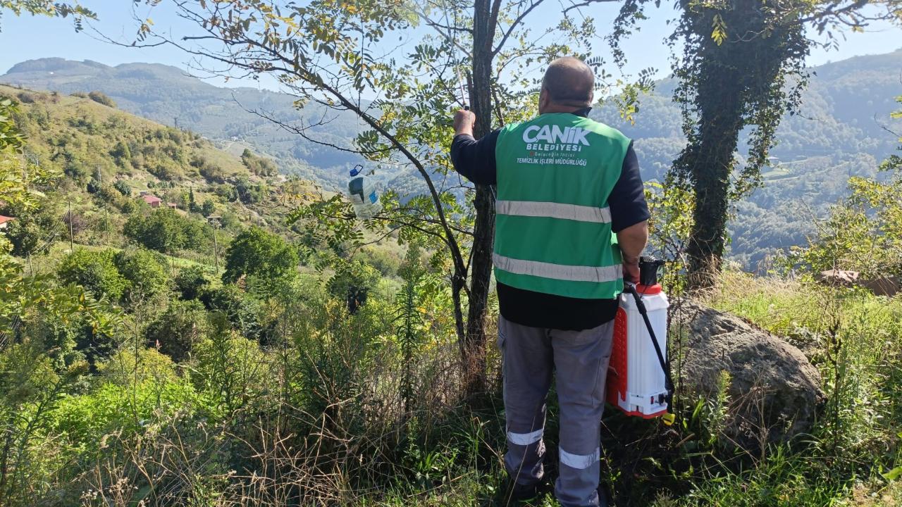 -Canik Belediyesi'nden Kokarca Böceğiyle Etkin Mücadele