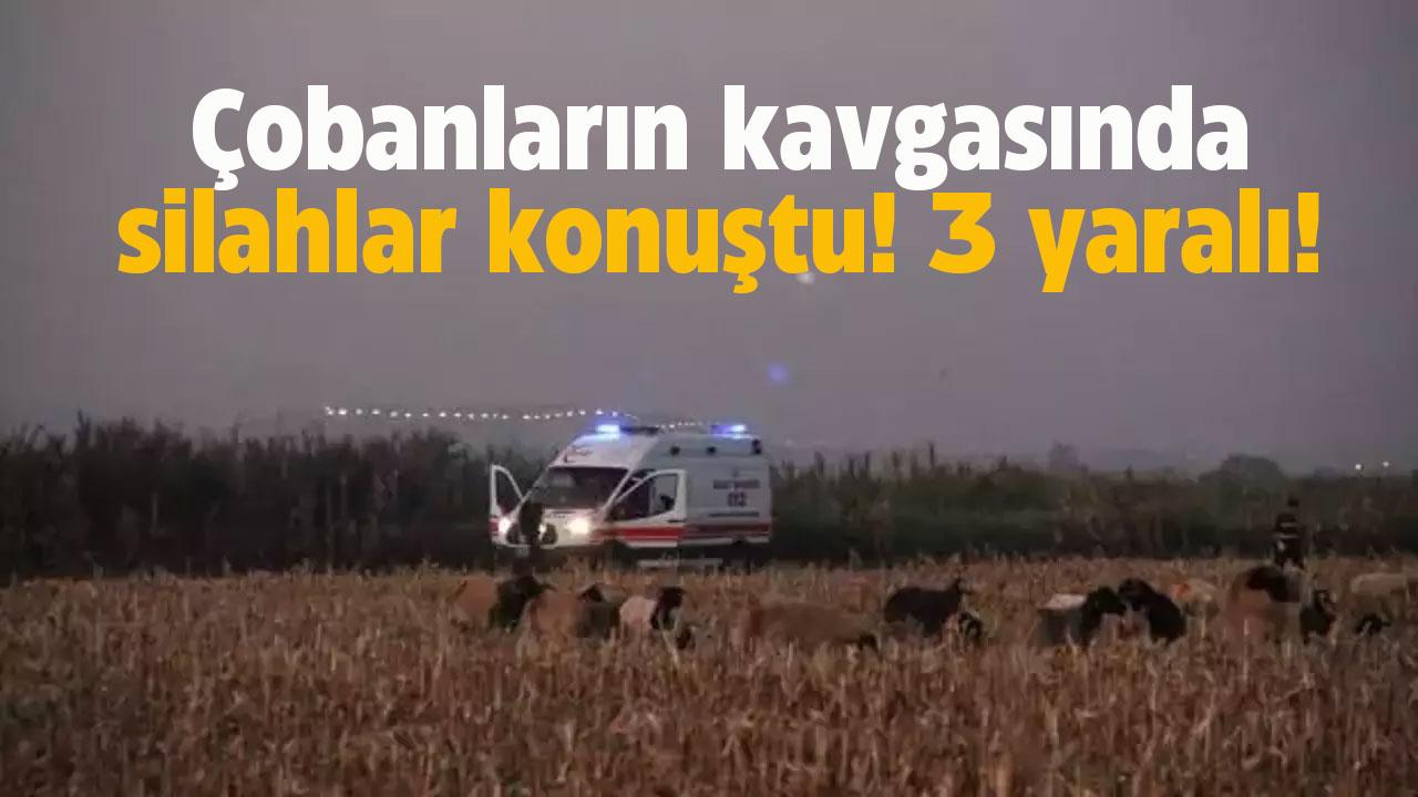 Çobanların kavgasında silahlar konuştu!