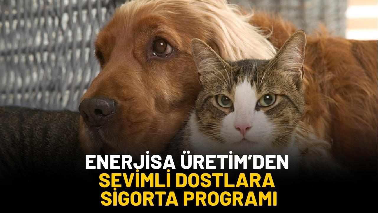 Enerjisa Üretim’den evcil hayvan sağlığını güvence altına alan yeni sigorta programı: Sevimli Dostum
