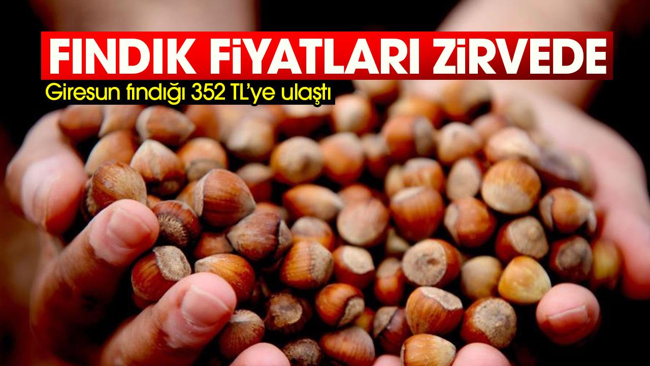 Fındık fiyatları zirvede: Giresun fındığı 352 TL’ye ulaştı