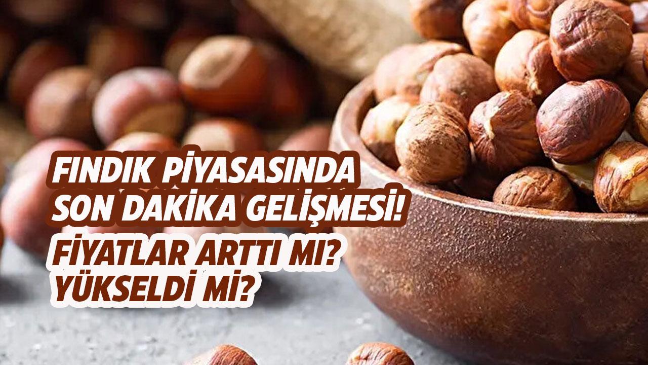 Fındık piyasasında son dakika gelişmesi! Fındık fiyatları düştü mü?