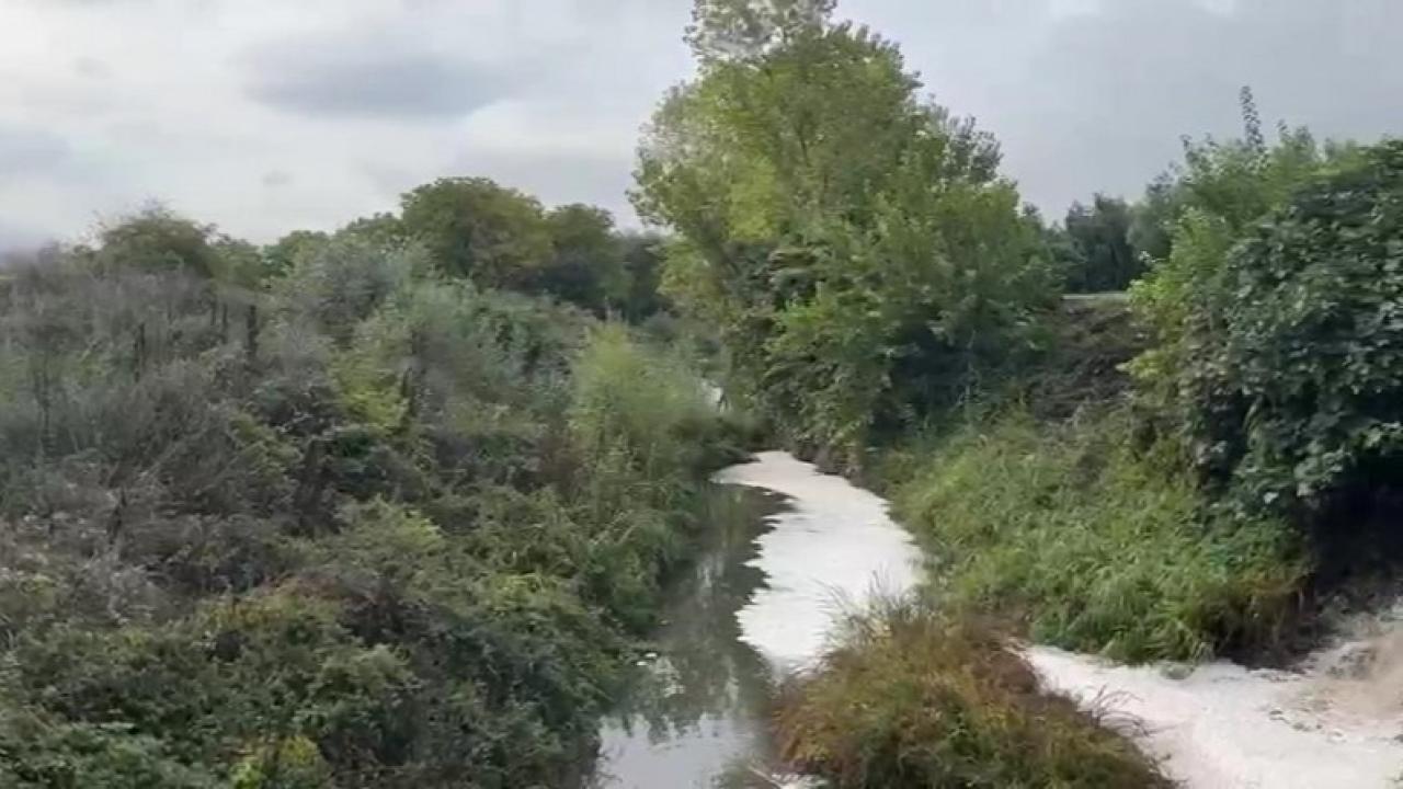 Gemlik Körfezi'nde kirlilik vatandaşları endişelendiriyor