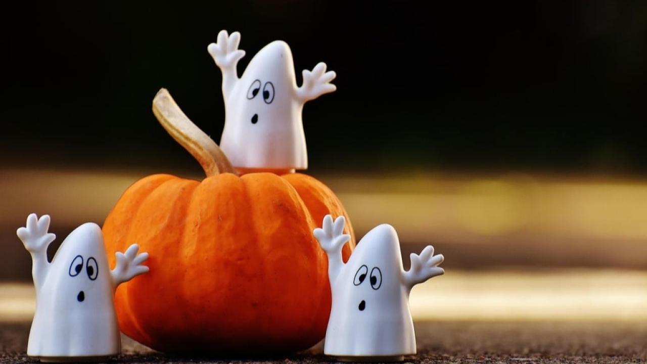 Halloween nedir, ne zaman, neden kutlanır?