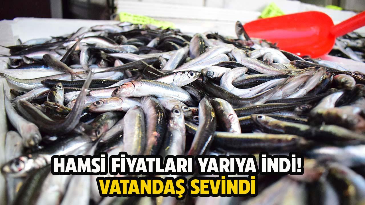 Hamsi fiyatları yarıya düştü! Vatandaşın yüzü güldü
