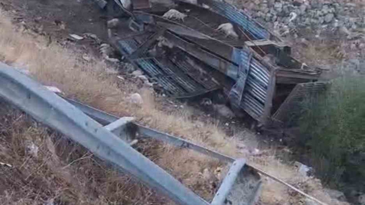 Hayvan taşıyan kamyon şarampole yuvarlandı: 2 yaralı, çok sayıda küçükbaş telef oldu