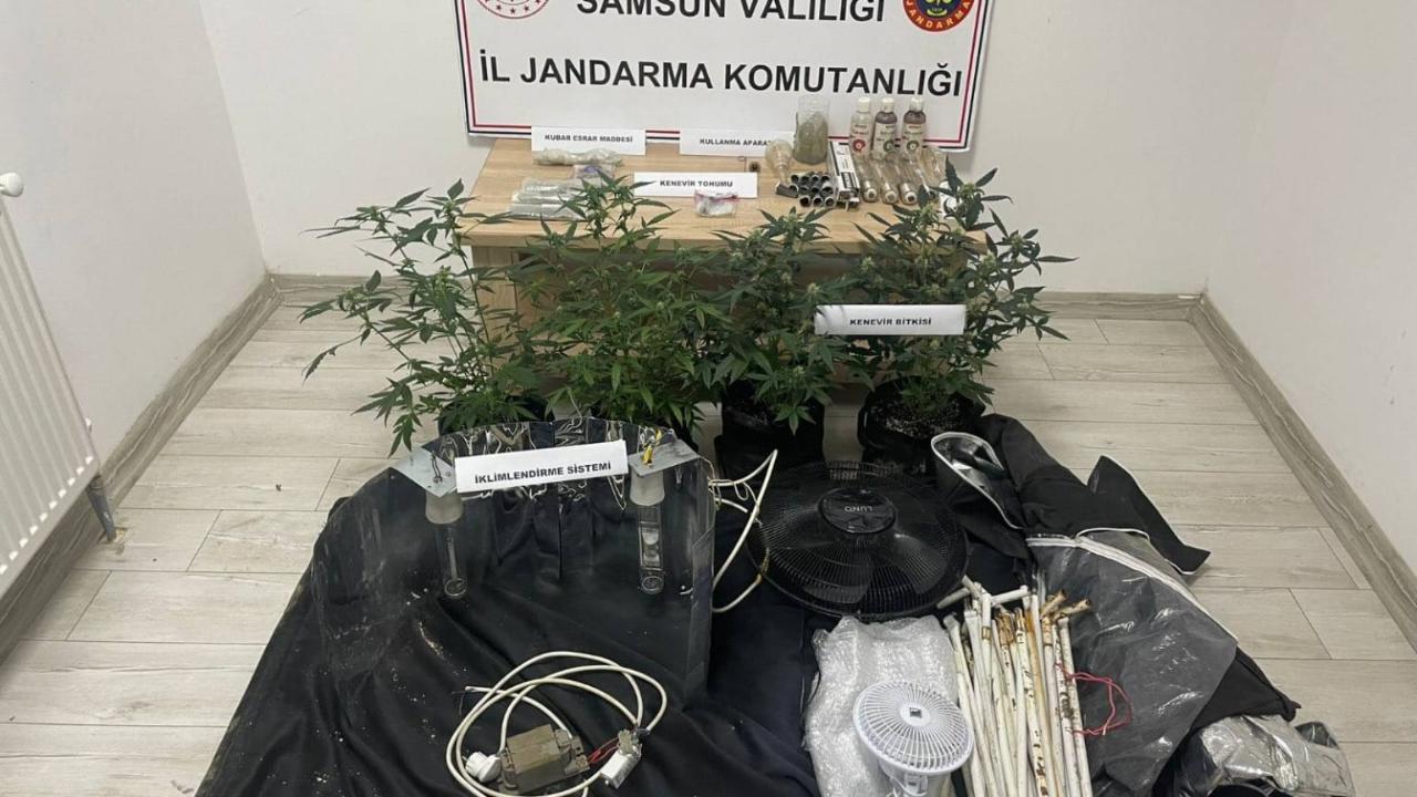 Kavak’ta jandarmadan uyuşturucu operasyonu: 1 kişi gözaltında