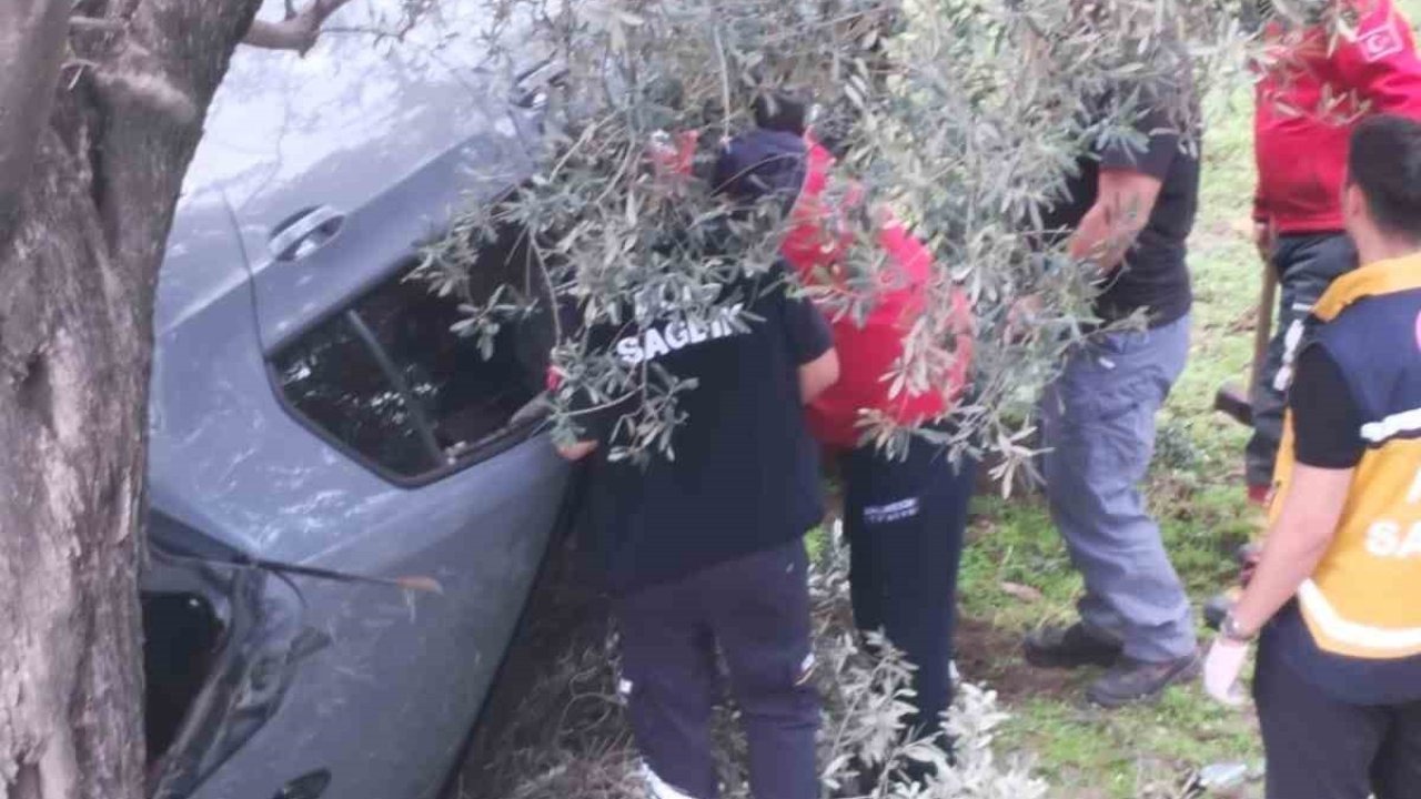 Kontrolü kaybetti zeytin bahçesine uçtu: 2 yaralı
