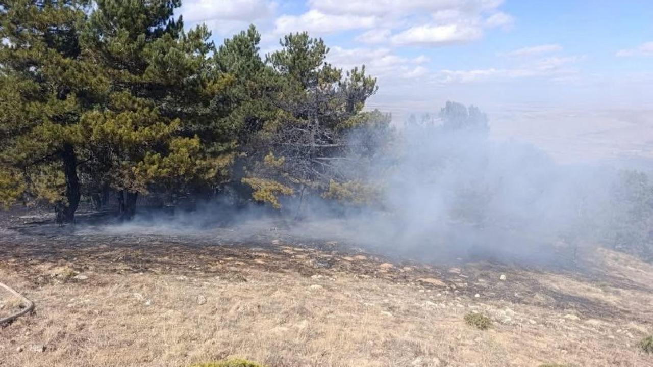 Konya'da orman yangını