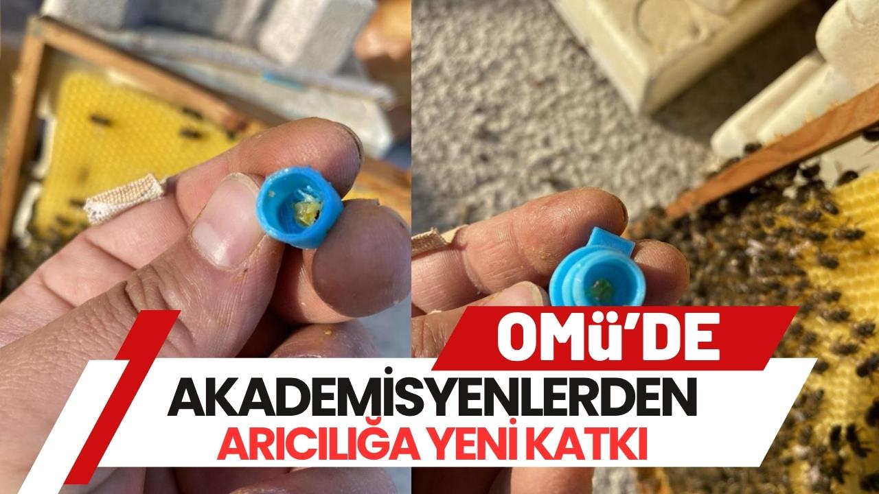 OMÜ'lü akademisyenlerden arıcılığa yenilikçi katkı: 'Ana Arı Üretim Aparatı'