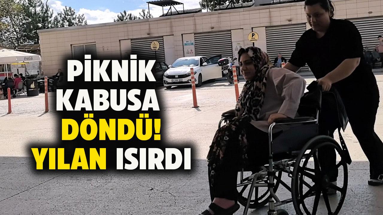 Piknik kabusa döndü! Hobi bahçesinde yılan ısırdı!