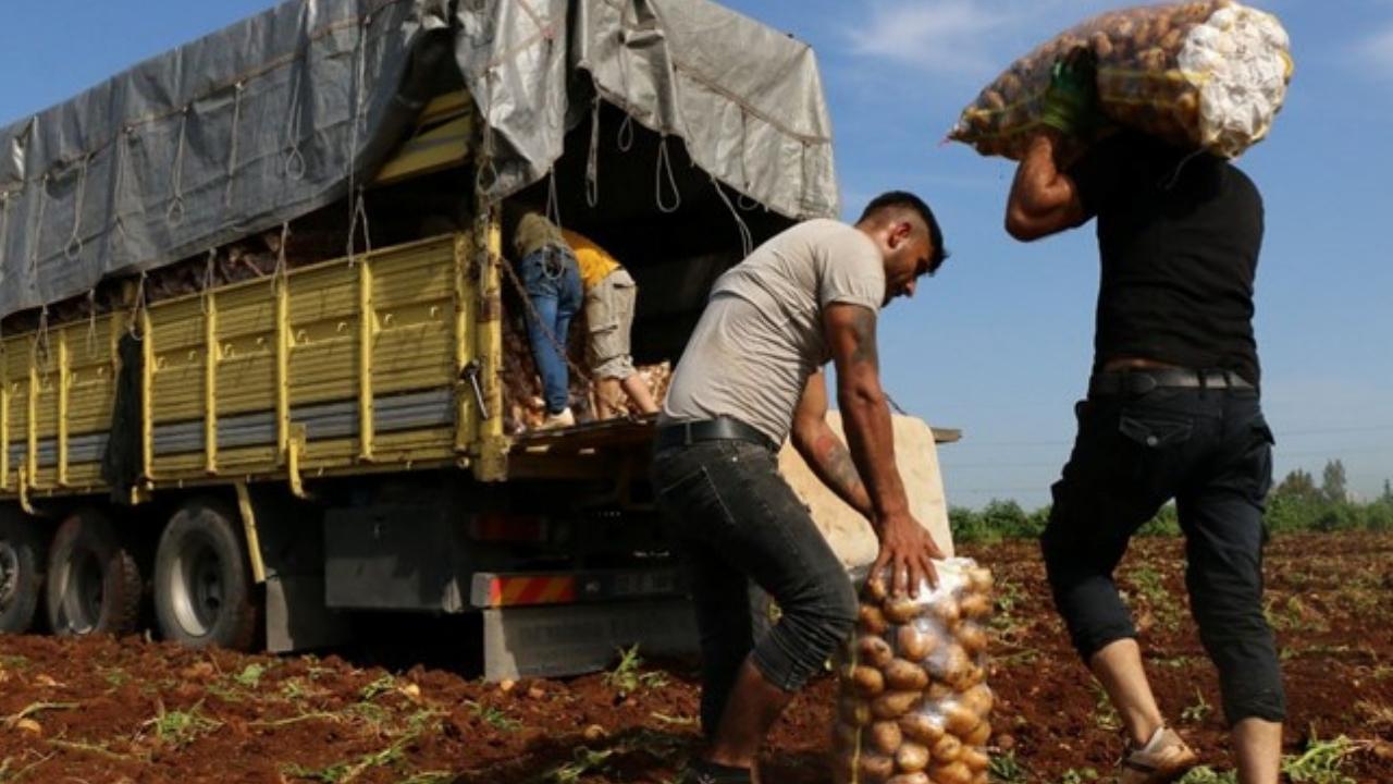 Sahte sosyal medya paylaşımı başına dert oldu!