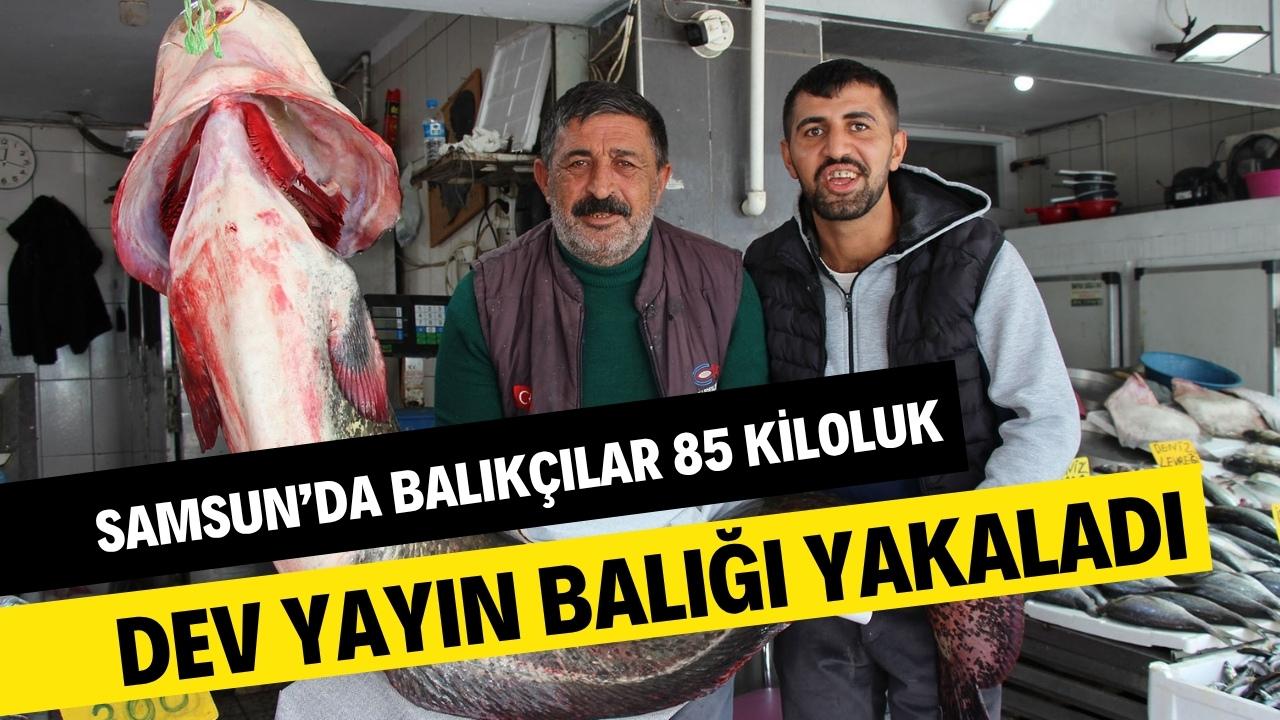 Samsun Altınkaya Barajı'nda 85 kiloluk dev yayın balığı yakaladı