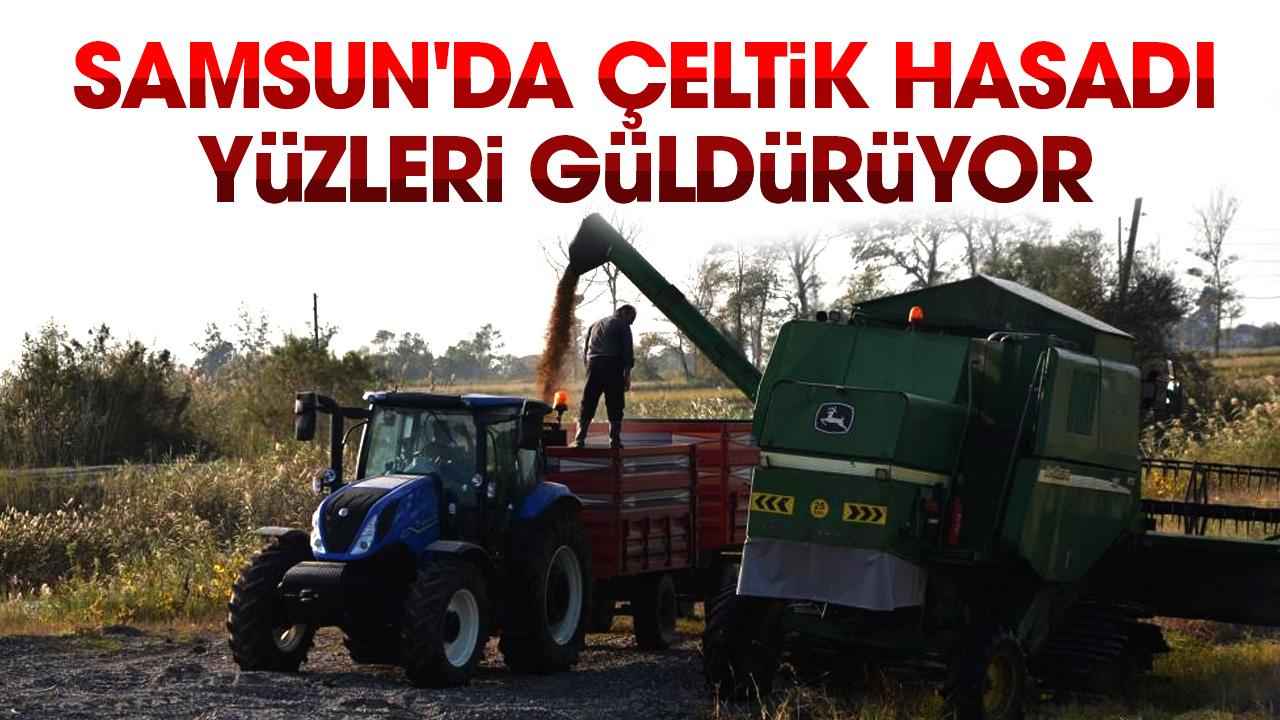 Samsun Bafra Ovası'nda çeltik hasadı yüzleri güldürüyor