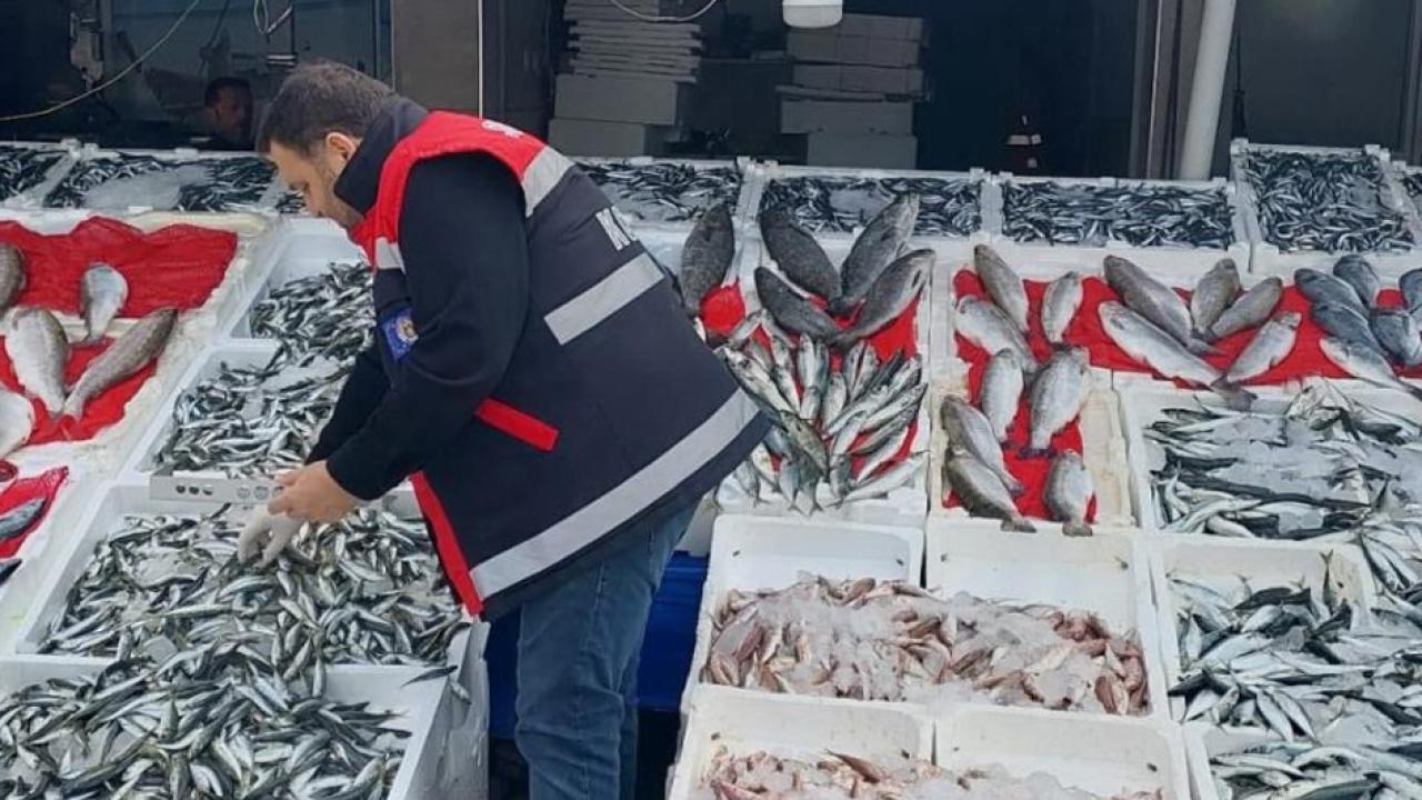 Samsun Çarşamba'da balık tezgahları denetlendi