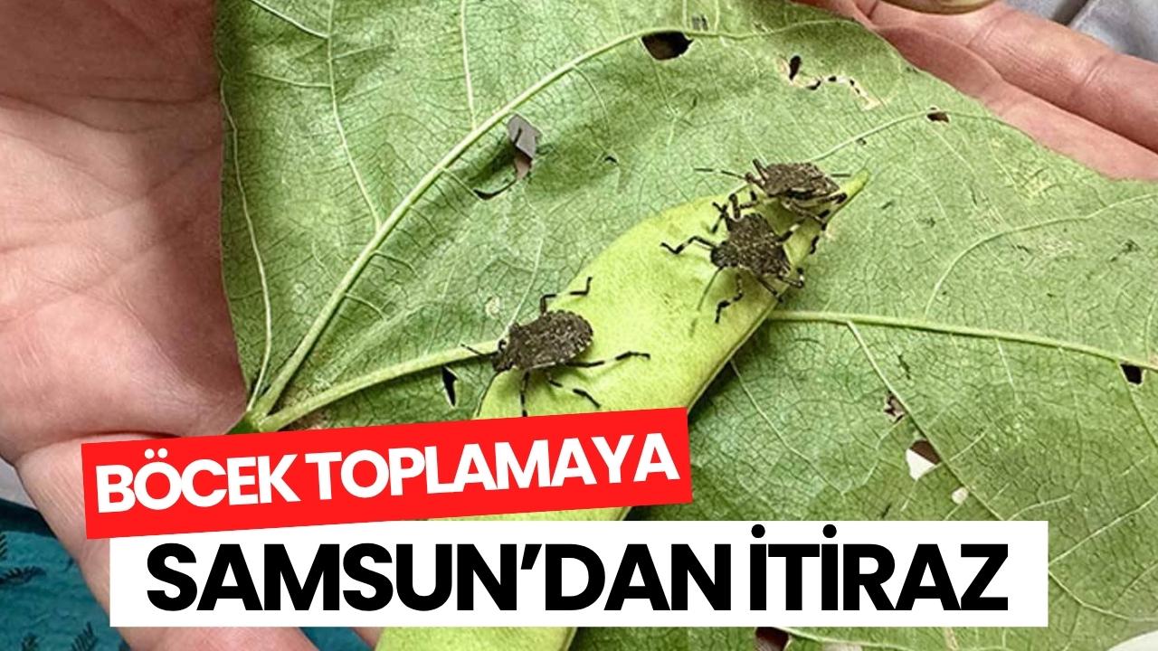 Samsun Tabip Odası’ndan böcek toplama yarışmasına itiraz