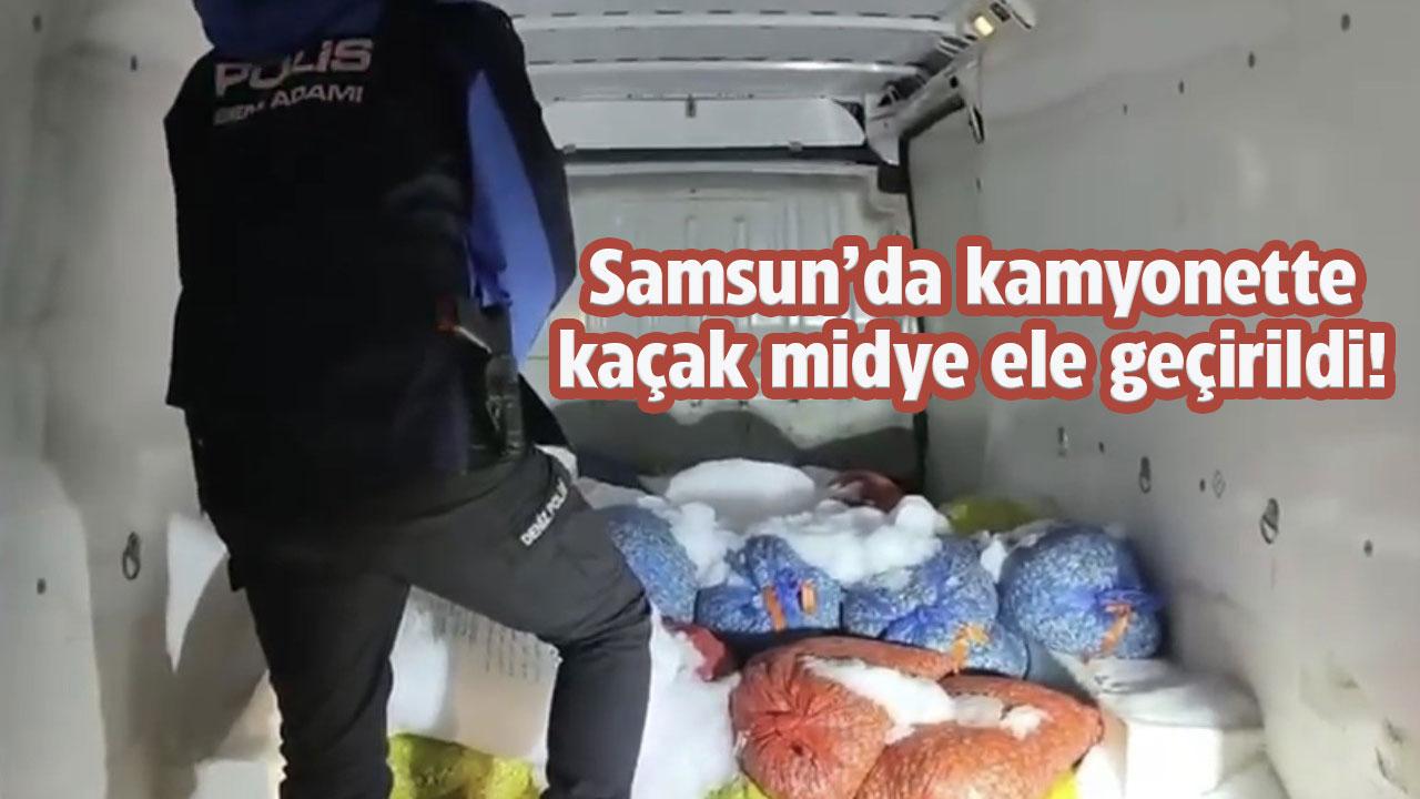 Samsun'da 2 ton kaçak midye ele geçirildi