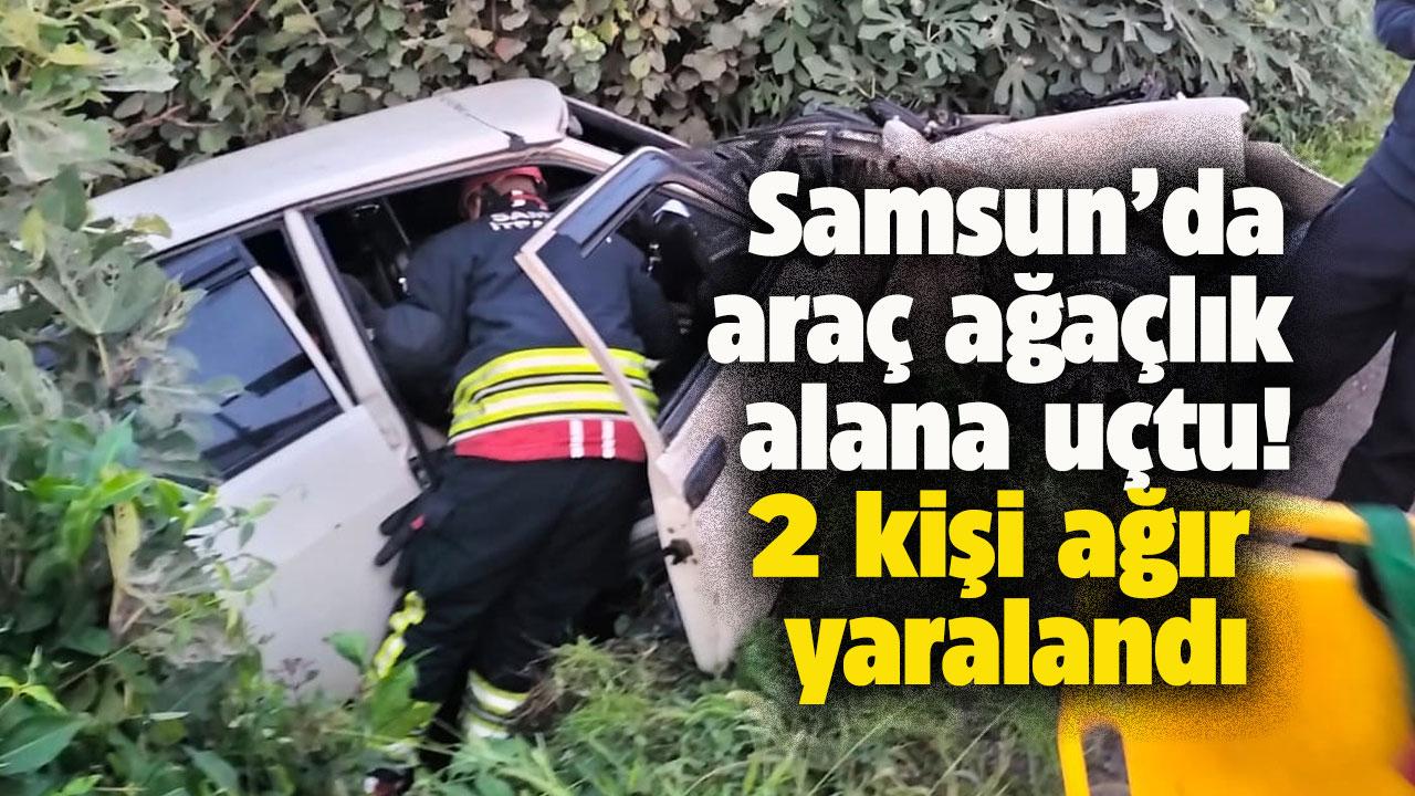 Samsun'da araç ağaçlık alana uçtu! 2 kişi ağır yaralandı
