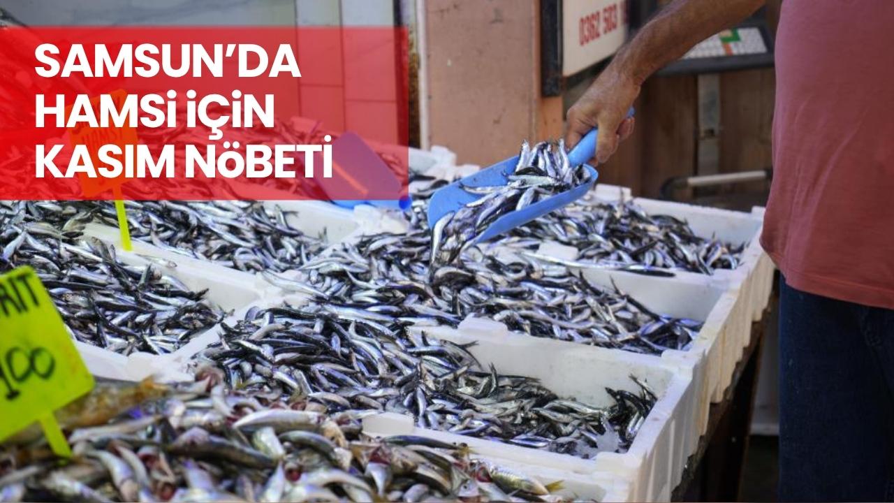 Samsun'da balıkçıların gözü Kasım ayında!