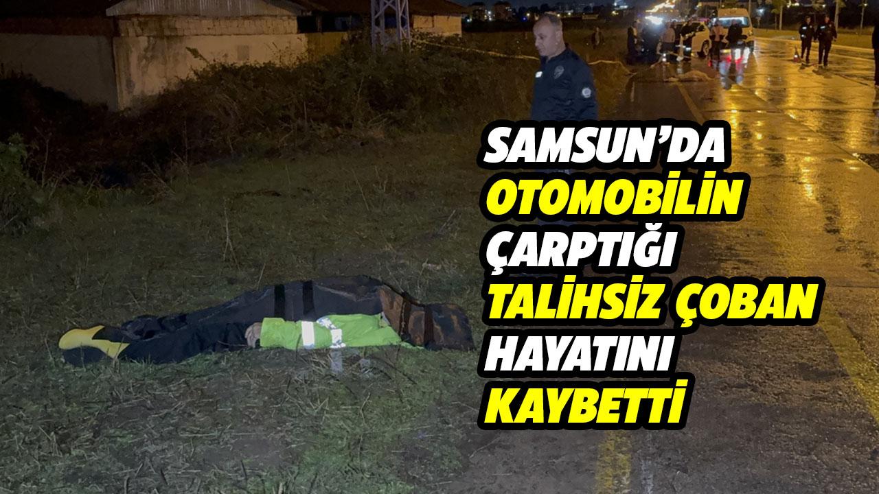 Samsun'da çoban Ali Şener otomobil çarpması sonucu öldü