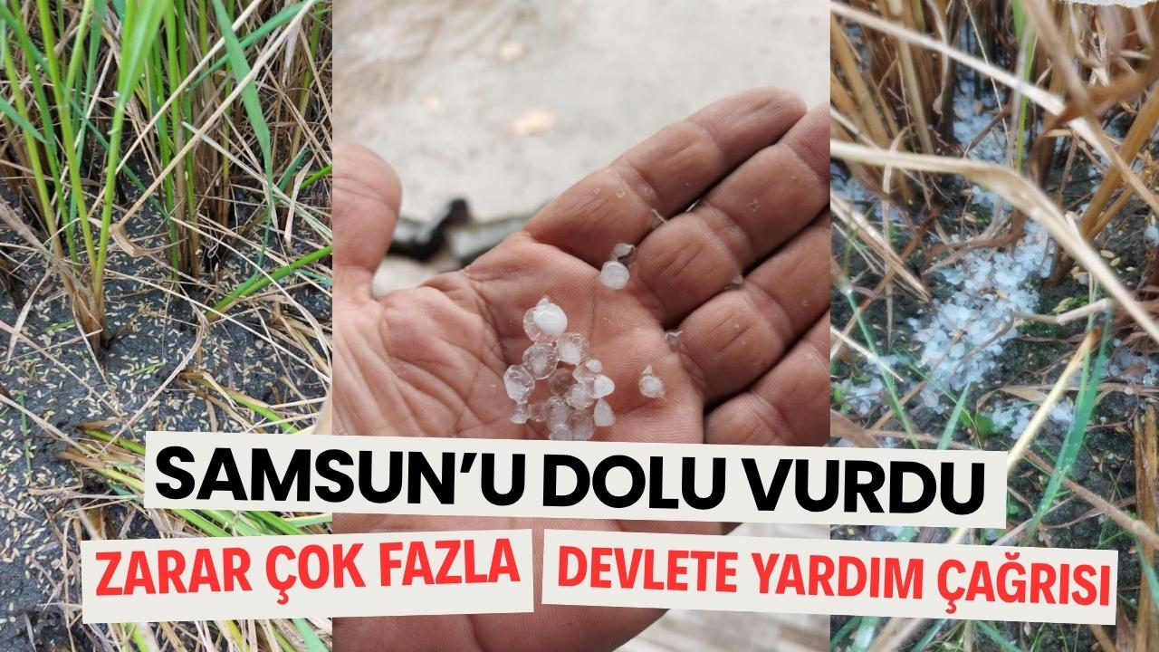Samsun’da etkili olan dolu çiftçileri etkiledi