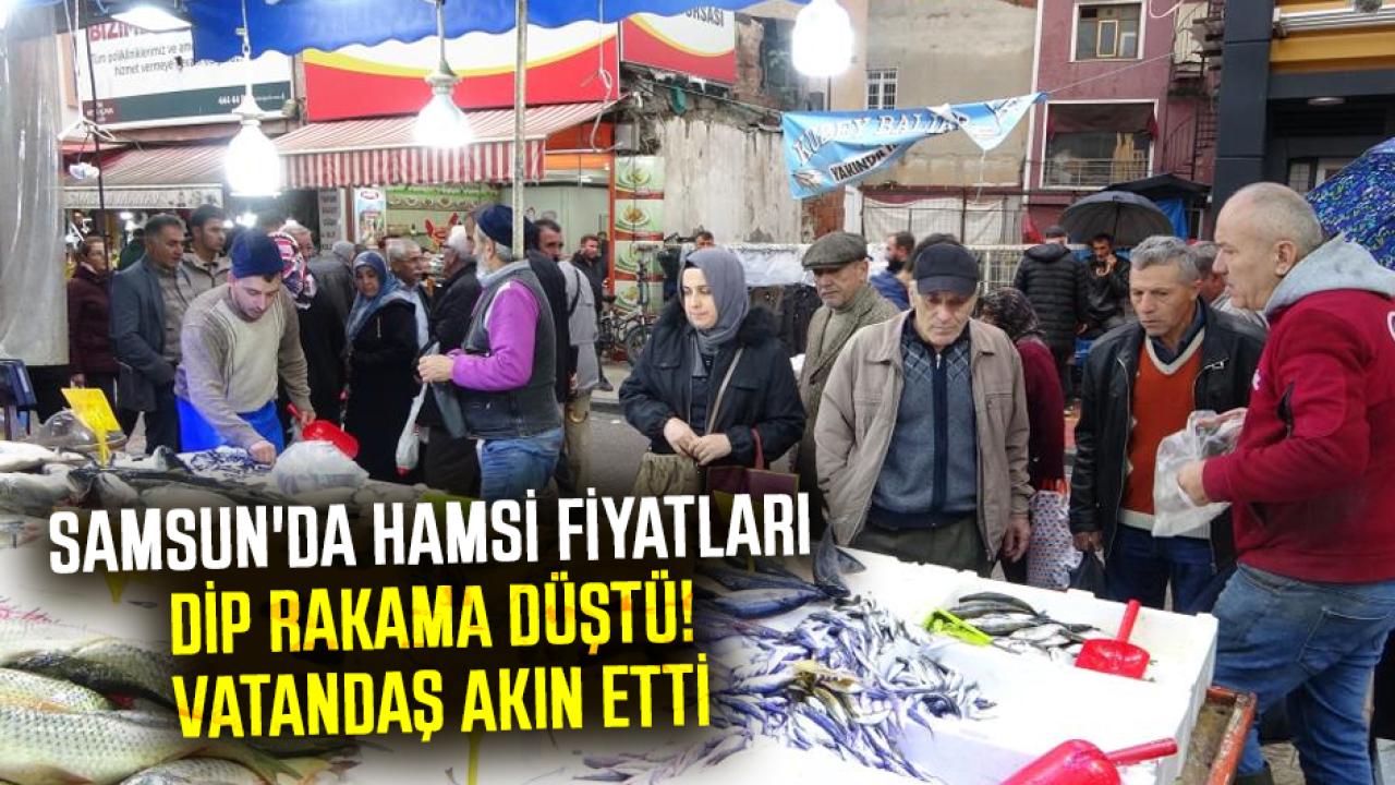 Samsun'da hamsi fiyatları dip rakama düştü! Vatandaş akın etti
