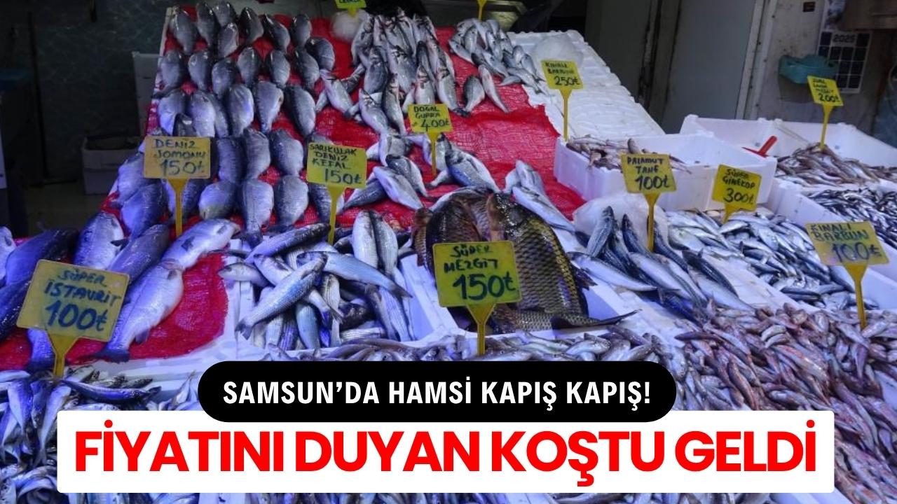 Samsun'da hamsinin kilosu 100 TL’ye düştü!