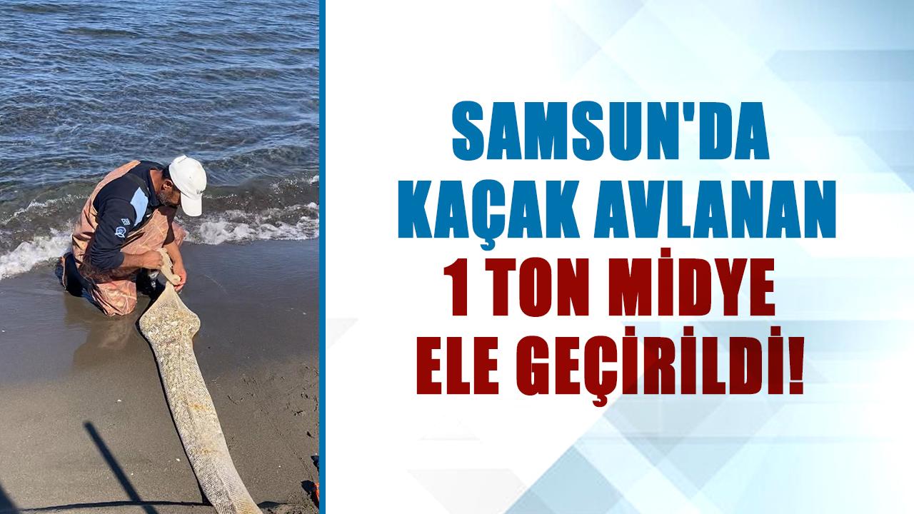 Samsun'da kaçak avlanan 1 ton midye ele geçirildi! Denize geri bırakıldı