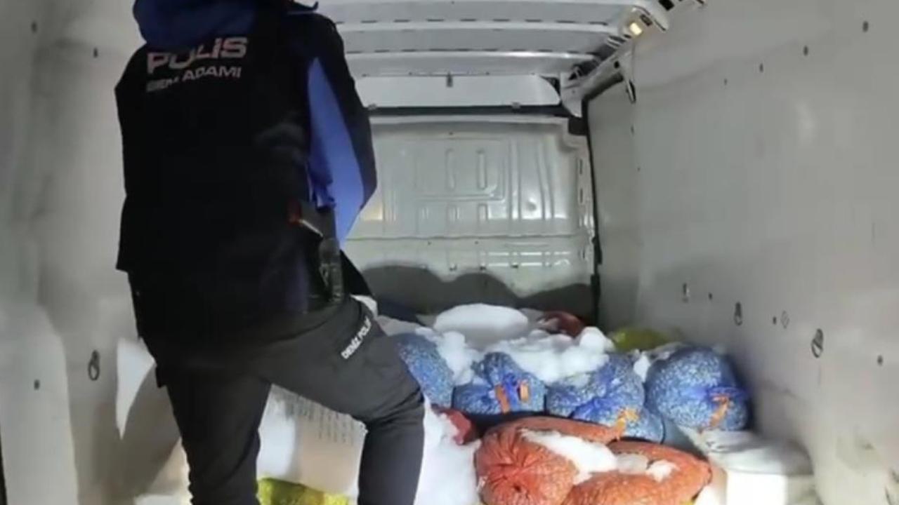 Samsun'da kaçak midye operasyonu