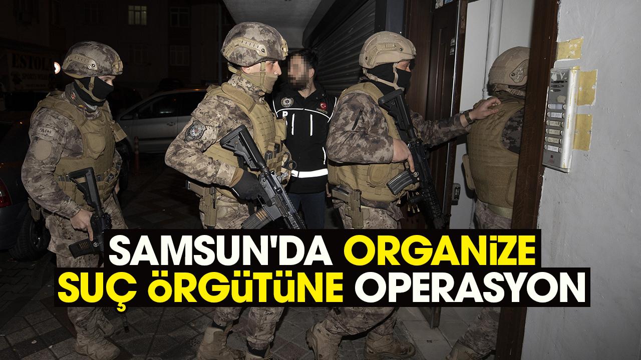 Samsun'da organize suç örgütüne operasyon