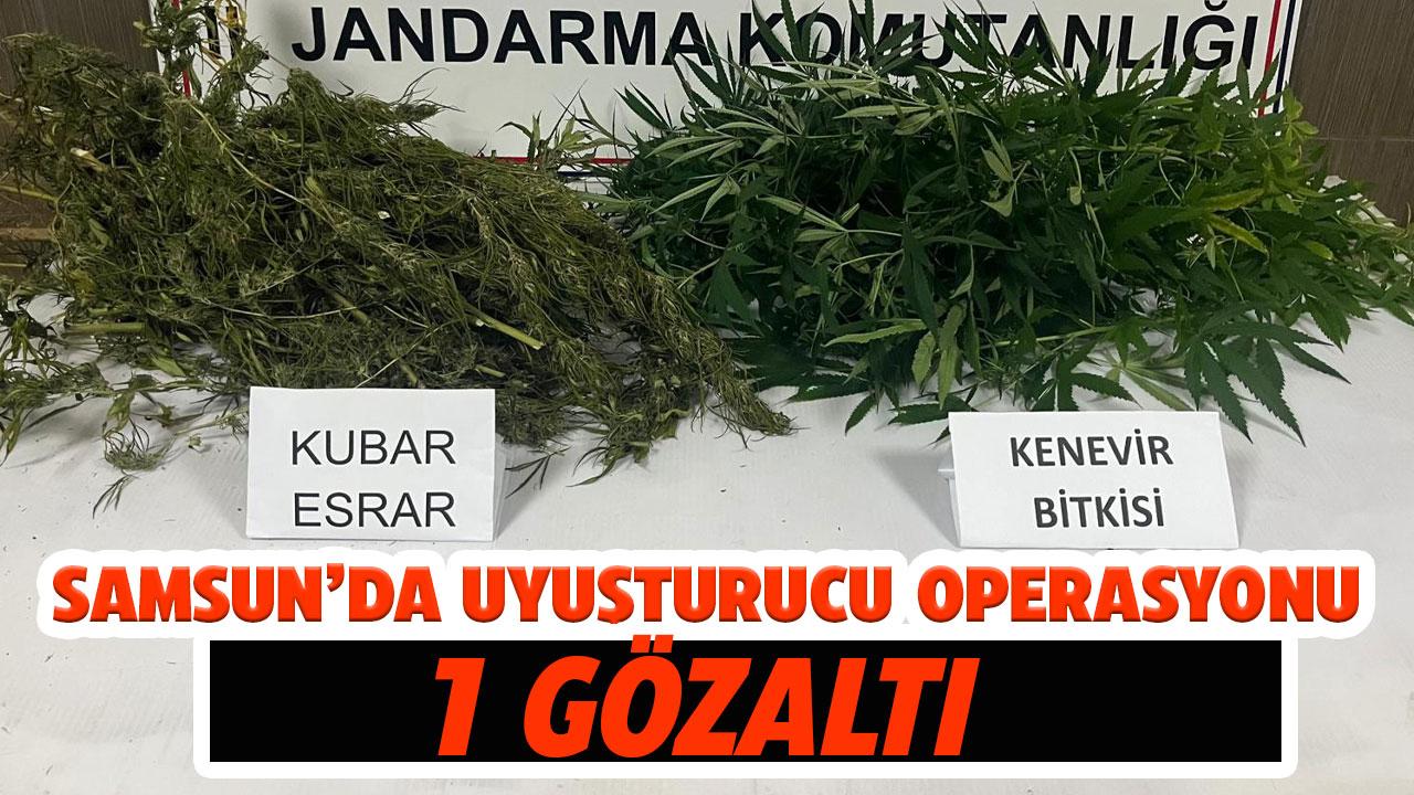 Samsun'da uyuşturucu operasyonu! 1 gözaltı