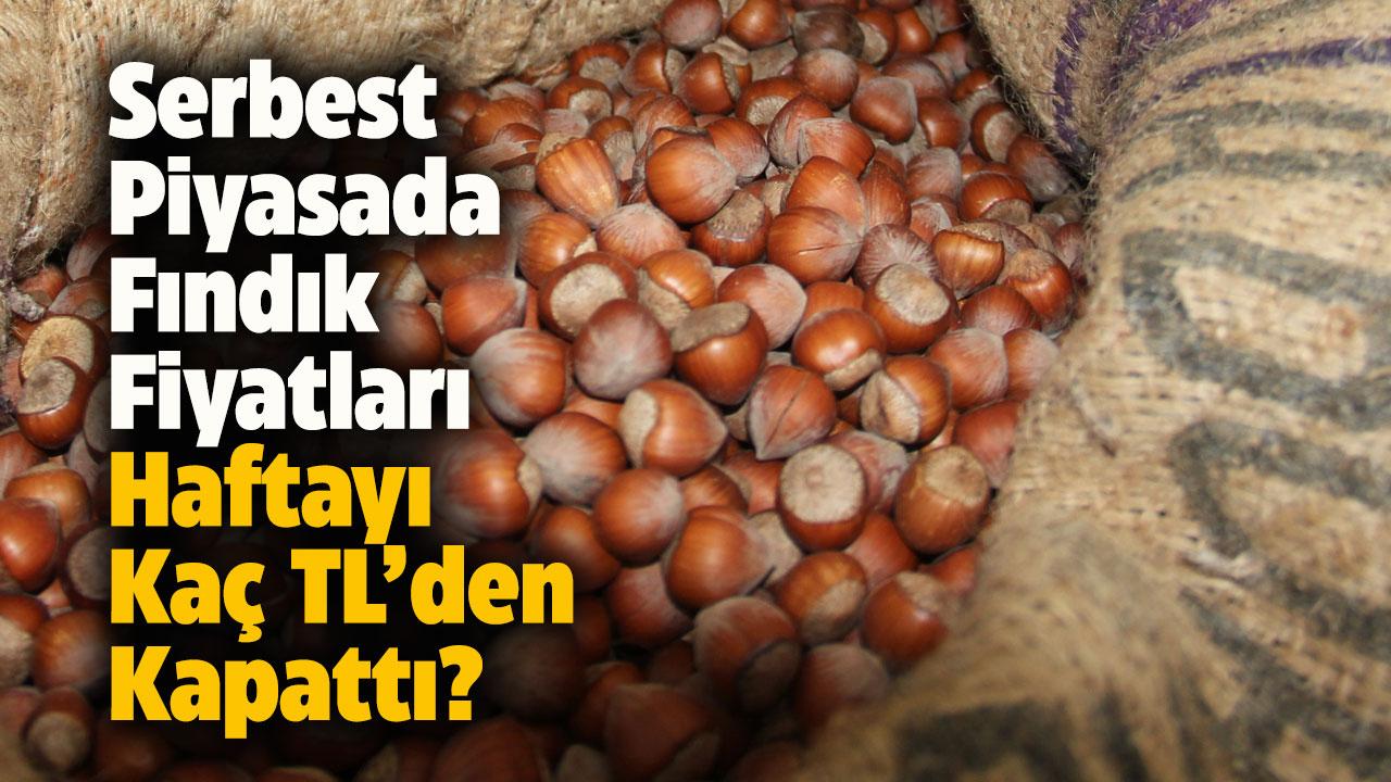 Serbest piyasada fındık fiyatları haftayı 315 liradan kapattı