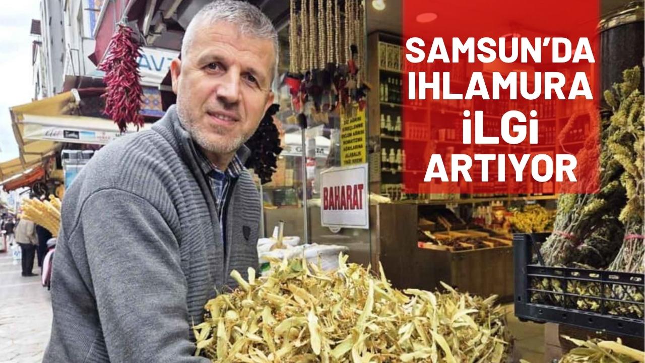 Şifa deposu ıhlamura Samsun'da ilgi arttı
