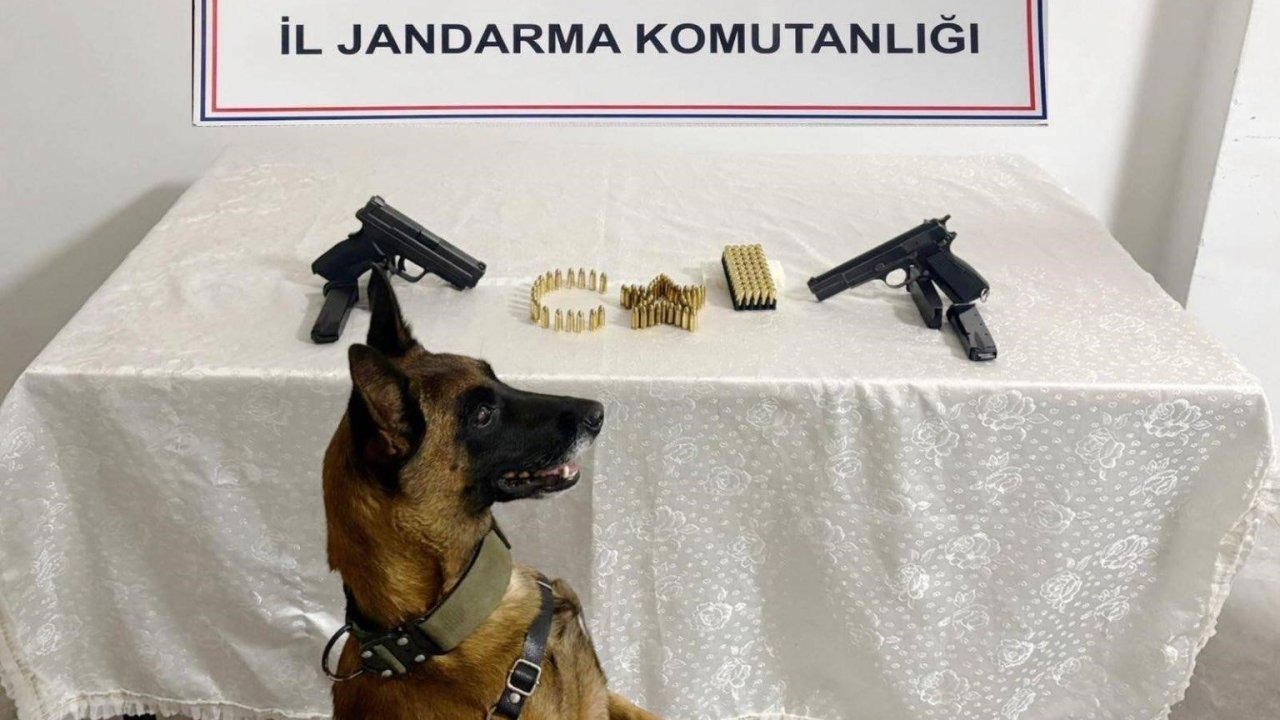 Silah kaçakçılığı operasyonu: 8 gözaltı