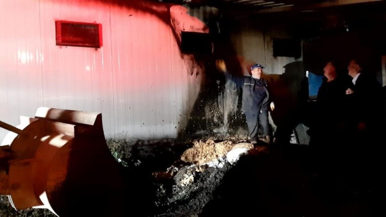 Tavuk çiftliğinde yangın