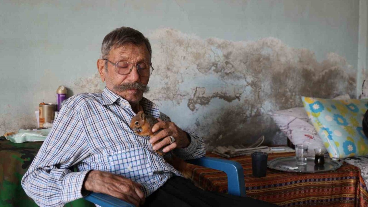 Yalnız kalmıştı, yavruyken kurtardığı ’sincap’ dostu oldu