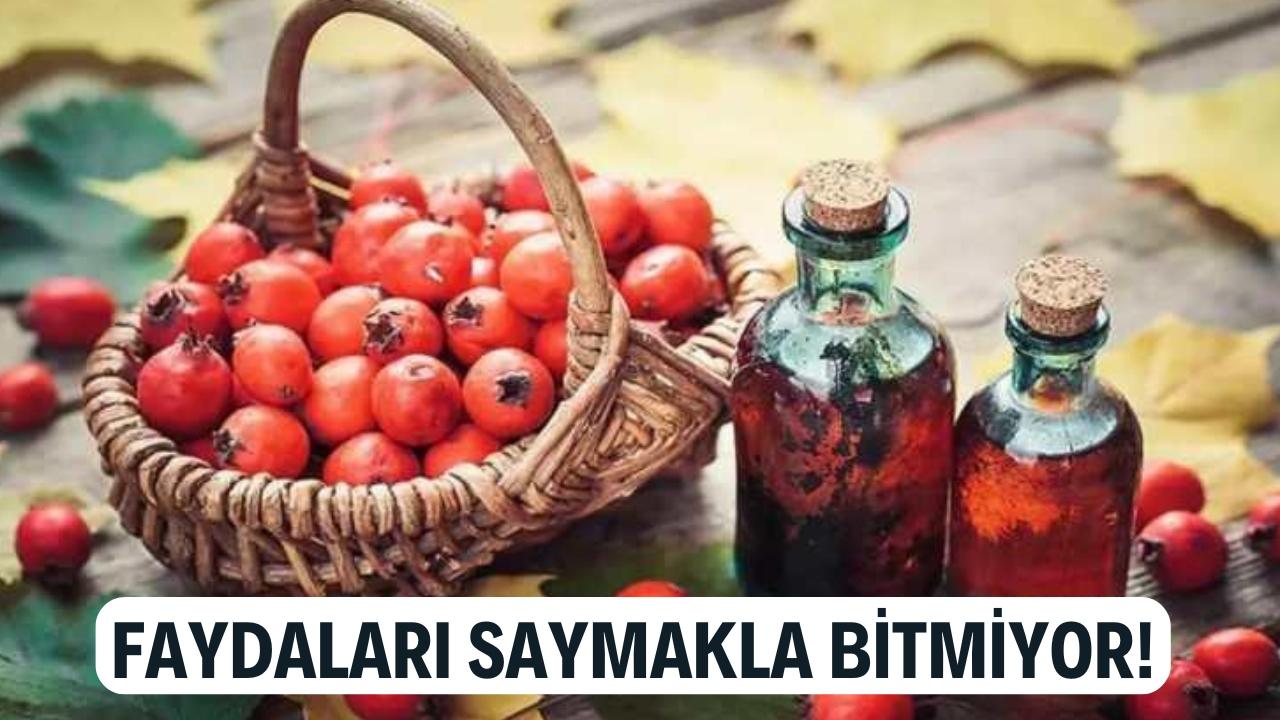 Yiyen 'gerçekten etkiliymiş' diyor! Sevmeyenler bile tüketmeye başladı