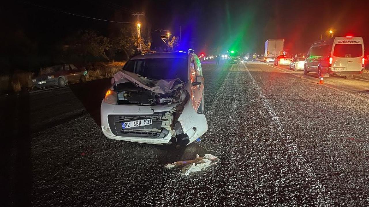 Yolun karşısına geçmeye çalışıyordu! Araç çarpması sonucu öldü