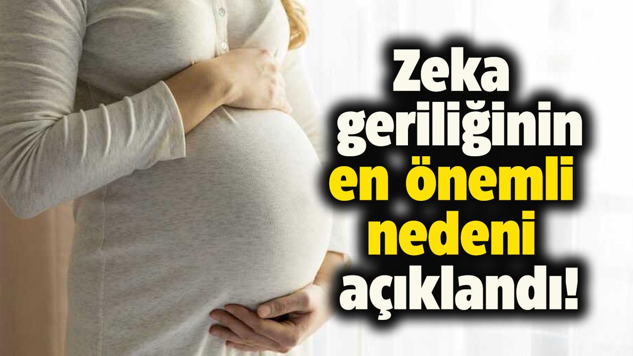 Zeka geriliğinin en önemli nedeni nedir? Uzmanlar hamileleri uyardı