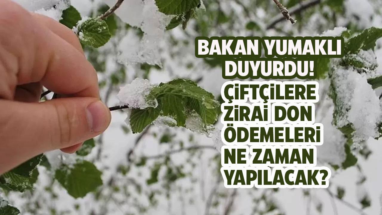 Zirai don destek ödemeleri başladı mı?