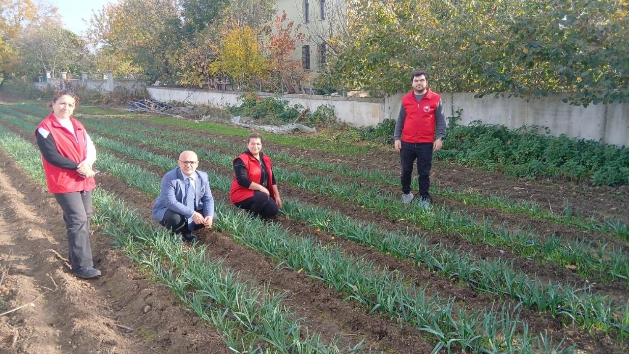 19 Mayıs'ta 25 bin nergis soğanı dağıtıldı