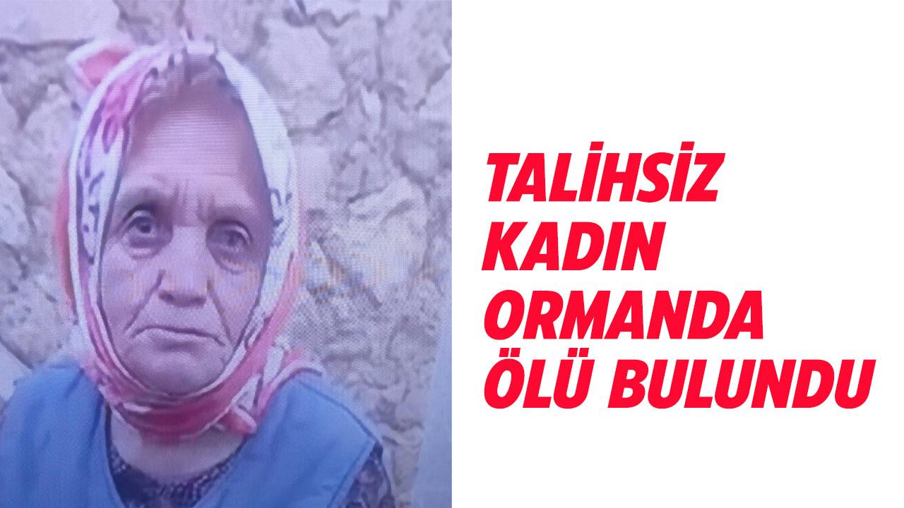 82 yaşındaki kadın ormanlık alanda ölü bulundu