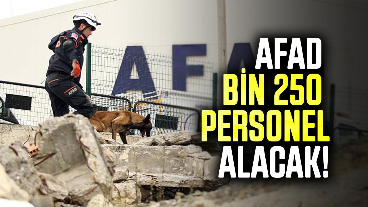 AFAD bin 250 personel alacak! İşte başvuru şartları