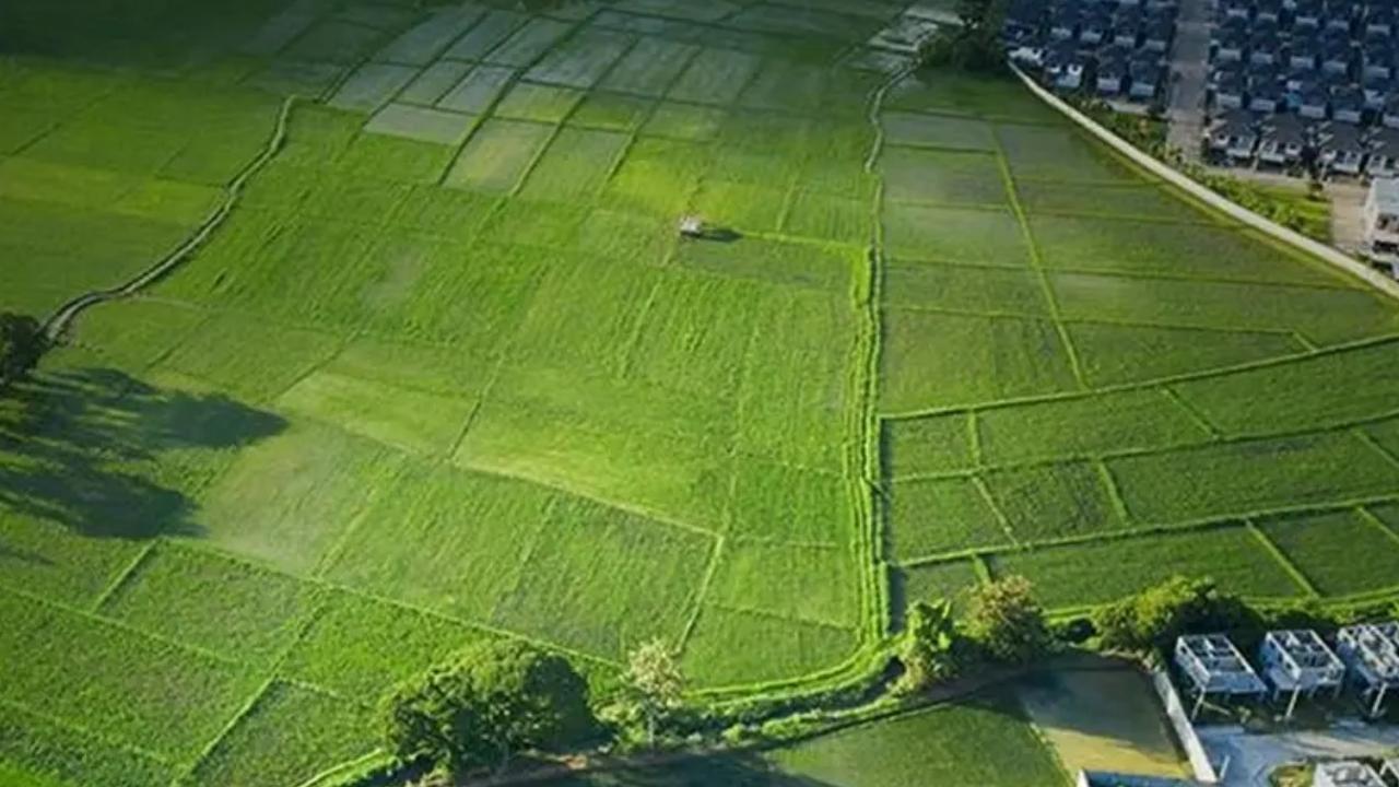 Arsa-tarla fiyatlarının en çok arttığı ve azaldığı iller belli oldu! Samsun var mı?