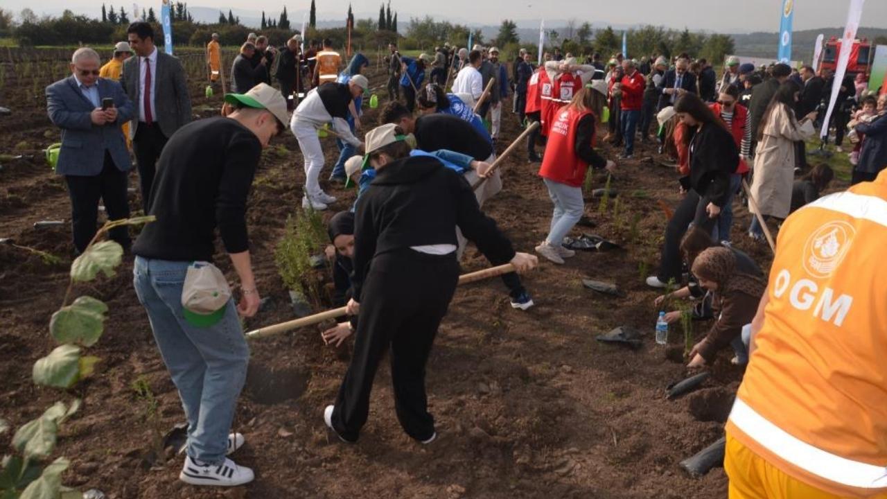 Bafra'da 8 bin fidan toprakla buluştu