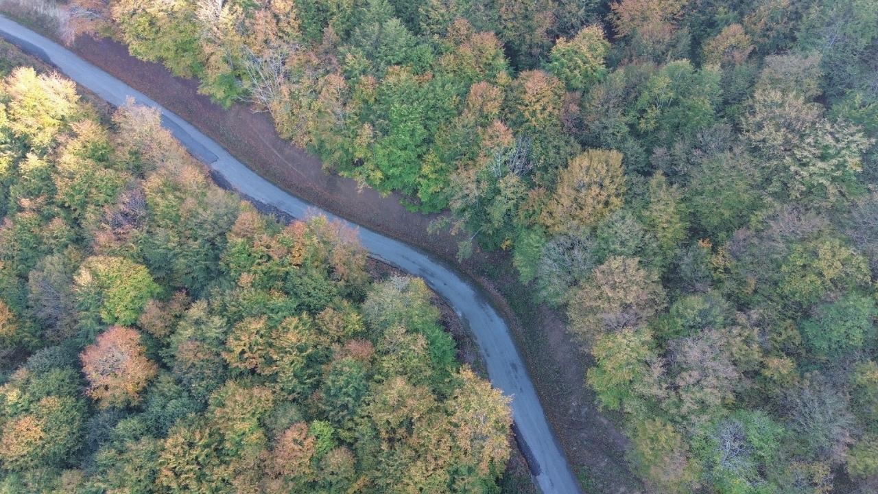 Bafra'nın Yunt Dağı dronla görüntülendi! Sarı manzara büyülüyor