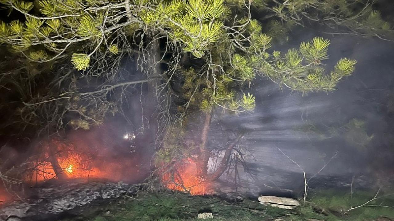 Bolu’da orman yangını